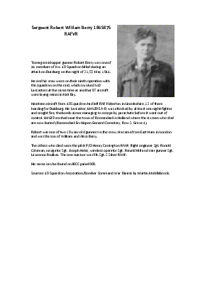 A preview of a PDF biography for Berry, Robert William